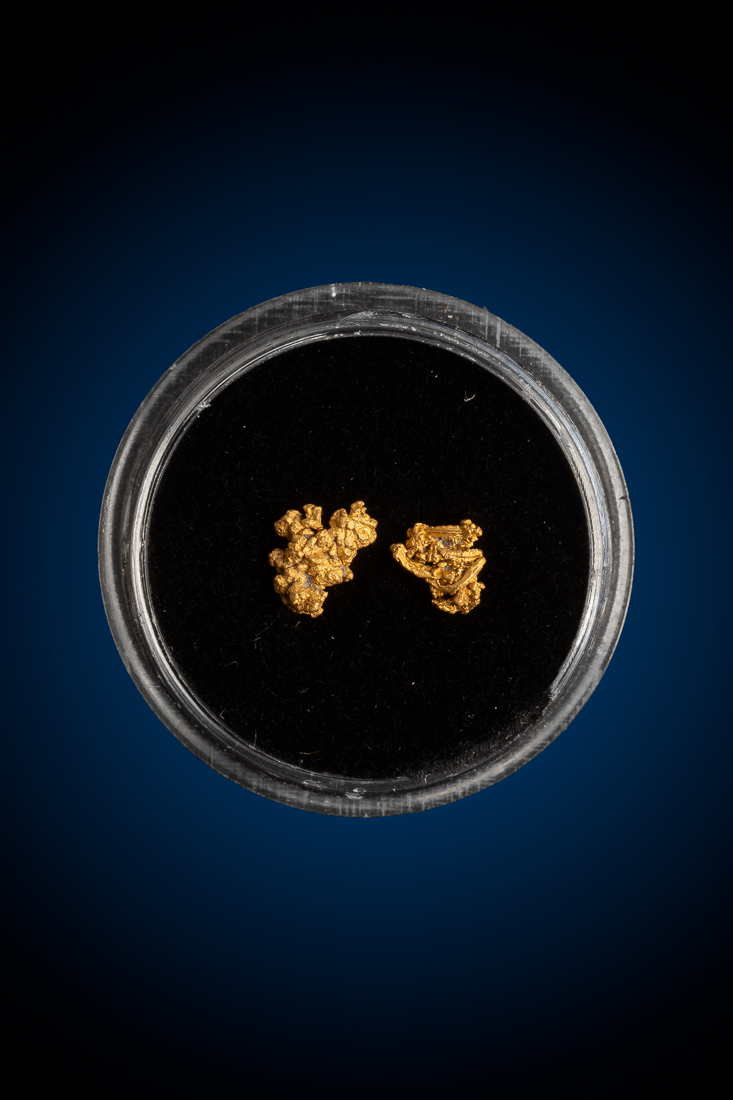 (image for) Two Beautiful and Intricate Gold Wire Specimens - New Zealand